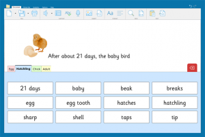 Clicker for Windows / Mac - Assistive Technology