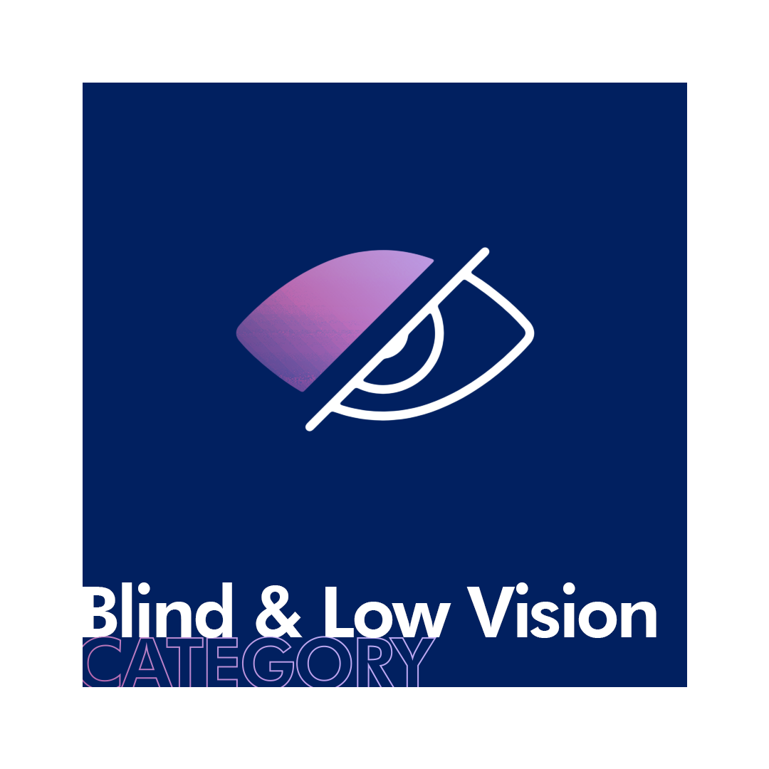 Category: Blind & Low Vision - Assistive Technology