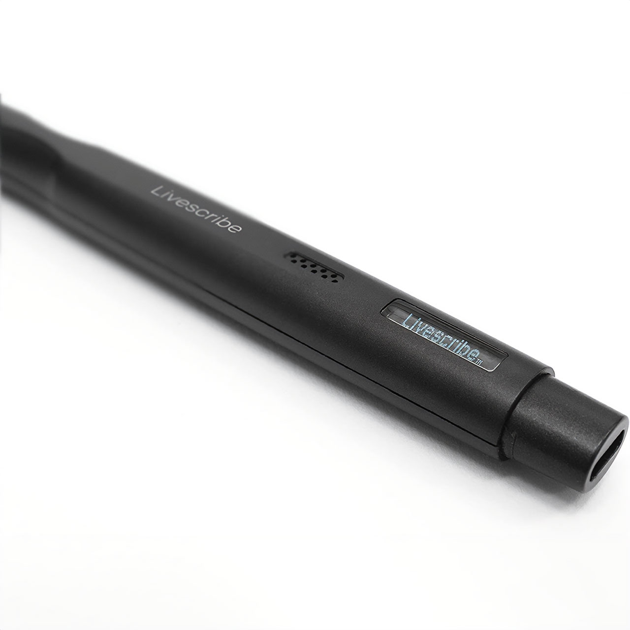 Livescribe Echo II Assistive Technology